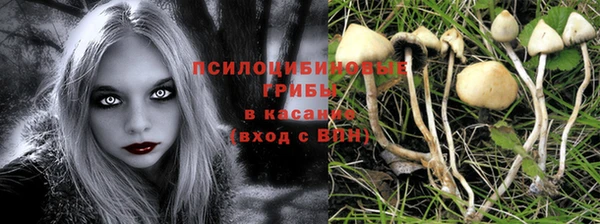соль ск Алзамай