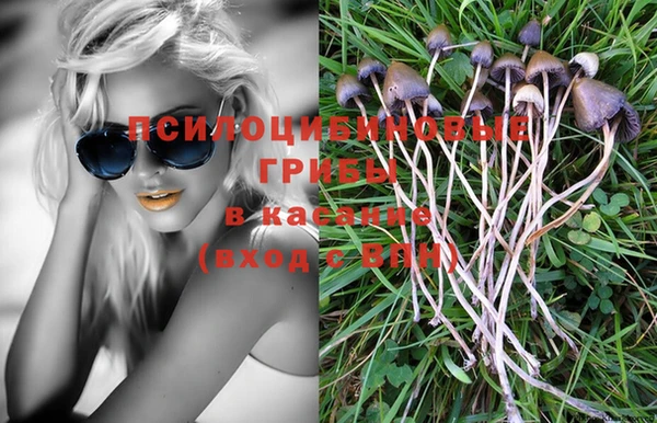 MDMA Premium VHQ Алексеевка