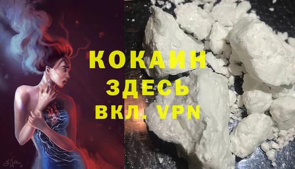 мдпв Абаза